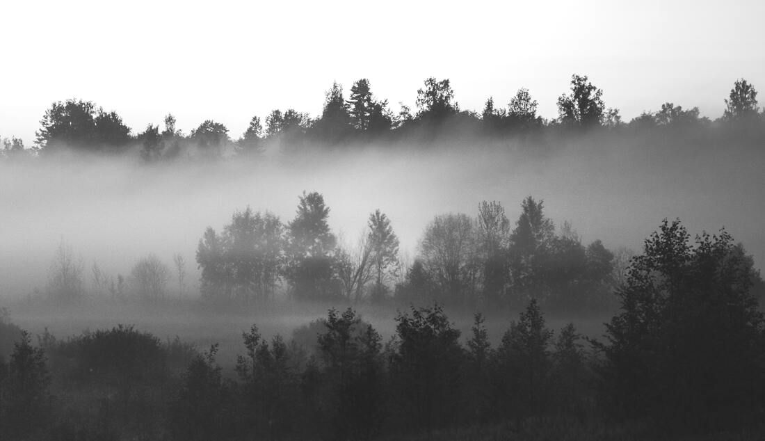 woods with fog lifting representing lifting of regret