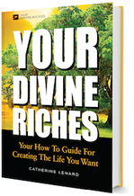 Your Divine Riches book cover